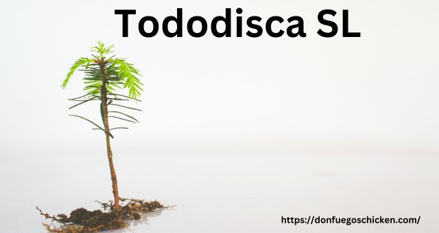 Tododisca SL