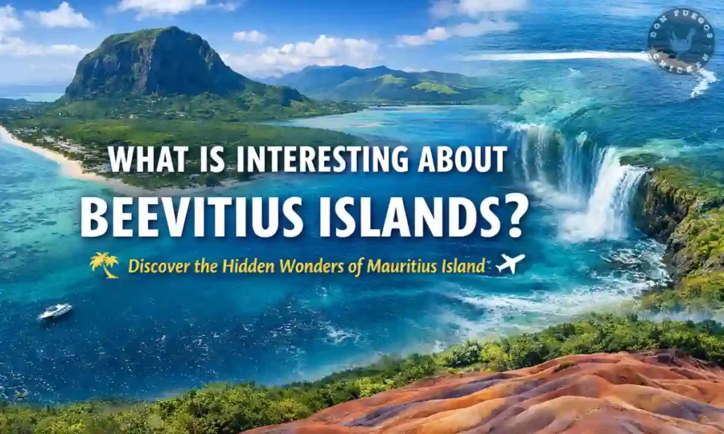 what is interesting about beevitius islands